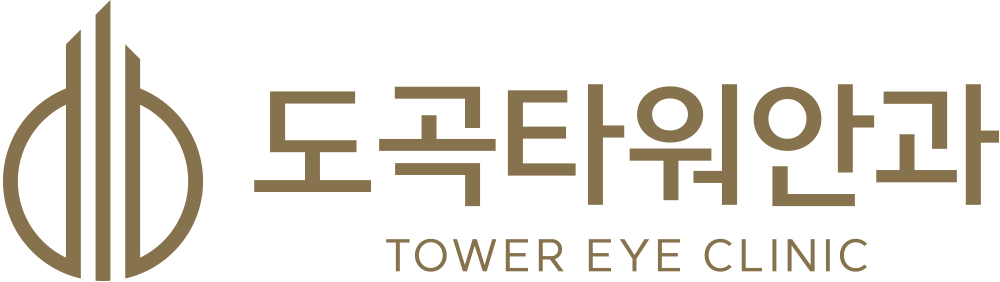 도곡타워안과